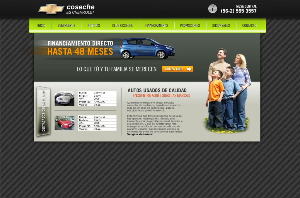 2008. MINISITE COSECHE